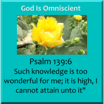 God Is Omniscient Psalm 139:6 Such knowledge is too wonderful for me; it is high, I cannot attain unto it"